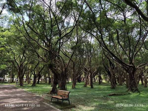 大安森林公園【走路趣尋寶】【臺北健走趣】2536132