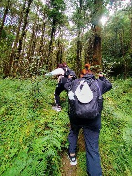 特富野古道2349569