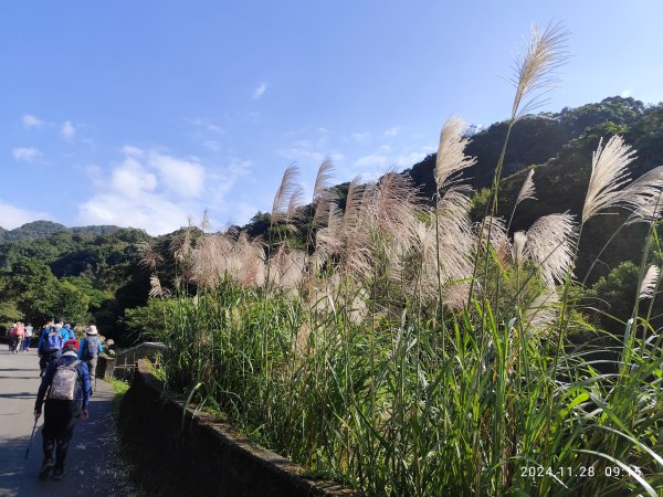 坪頂古圳環狀步道→清風亭→鵝尾山步道【走遍陽明山】2658288