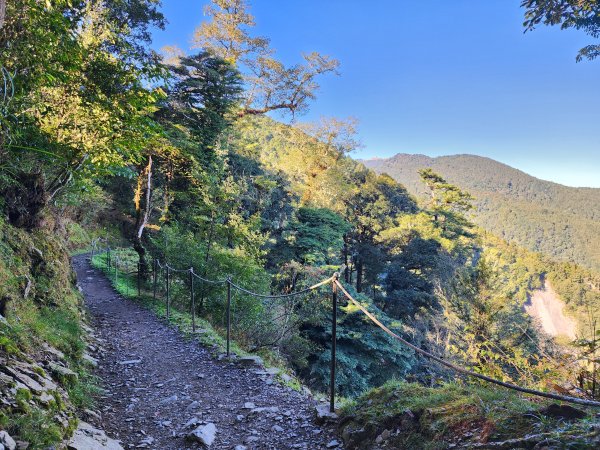 檜山巨木森林步道2394995