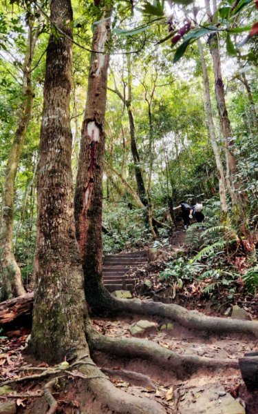【中級山】天梯直上雲霄，一切美景盡在眼底，谷關七雄白毛山2742443