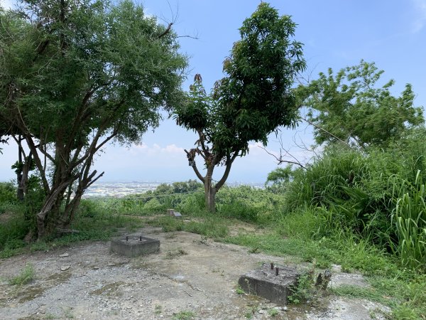 20250628高雄上平山2826358