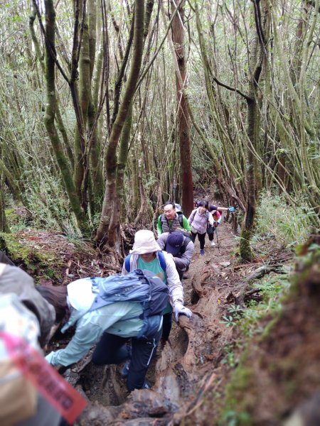 2023聚焦塔關山與雲的距離之旅2163828