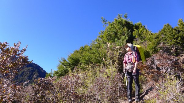 大好天氣的奇萊東稜489043