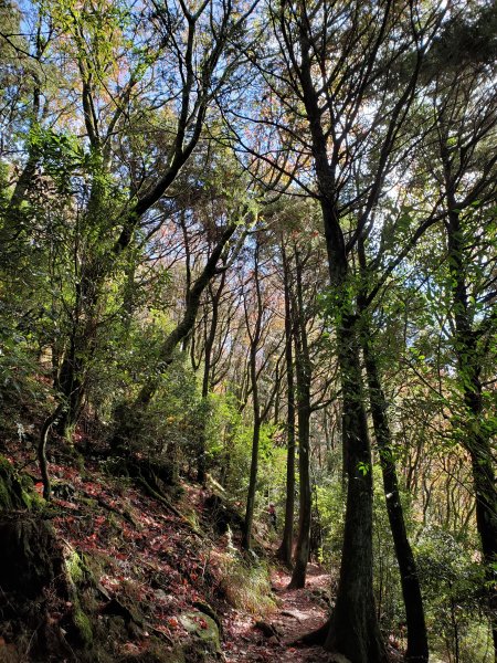 鳶嘴山-稍來山-稍來南峰下1088034