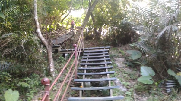 大禮大同步道1321053