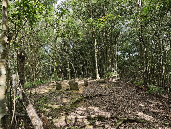 2025_0601 赫威山2802317