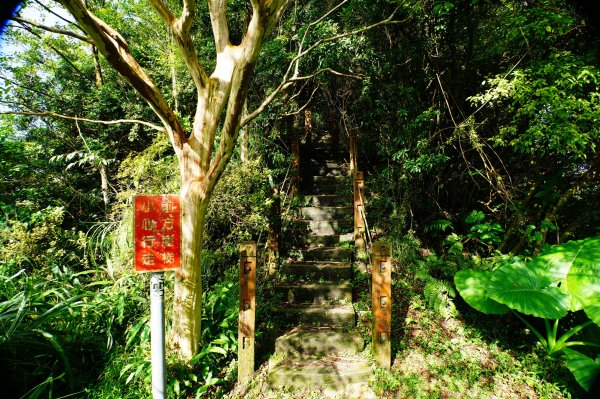 新北 新店 獅仔頭山3114467