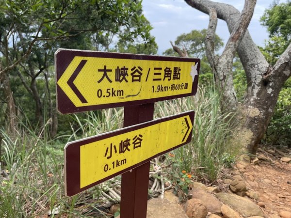 火炎山自然保謢區2769370