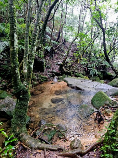 2025臺北大縱走第四段：風櫃口至中華科技大學2973486