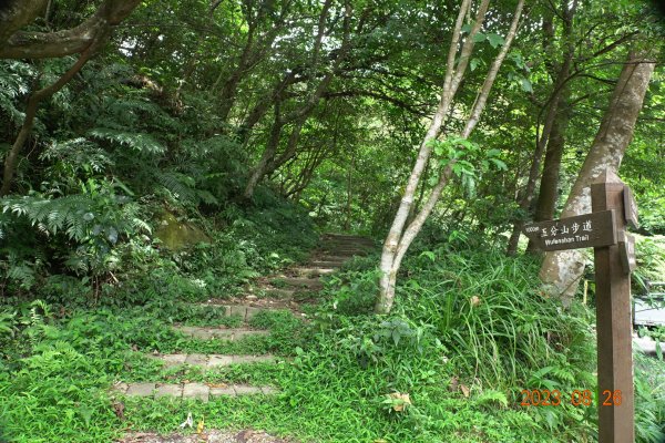 基隆 頂寮山、龍門山、五分山、頂子寮山2265995