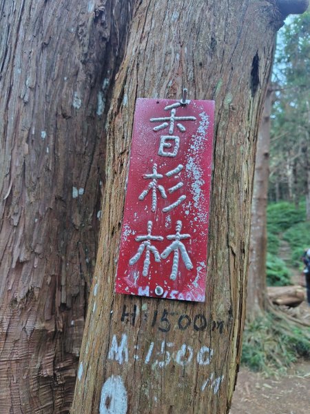 長壽山、肥崠山、醜崠山、大崠山、大崠山經建版2931520