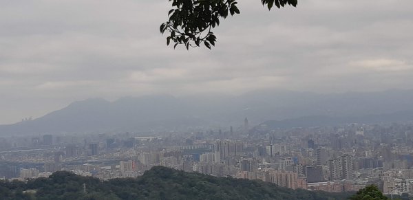 土地公後山1232684