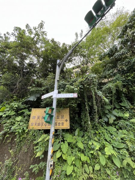 台北大縱走第七段1666215