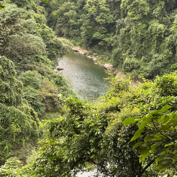 2022-10-10-紙湖古道之即將消失的古道1888558