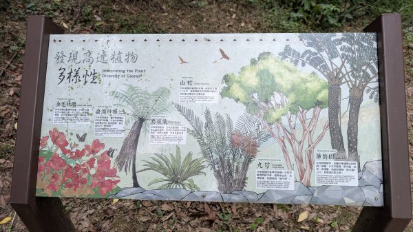 115.05.30高遶溪古圳步道-羅馬公路之旅3067190