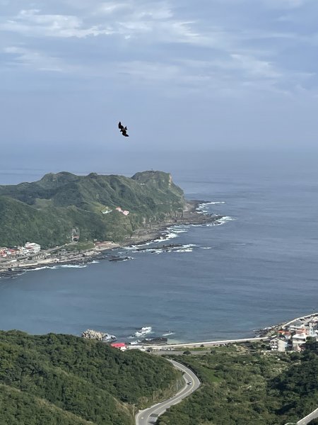 黃金十稜 龍洞稜 和美山登草山1220967