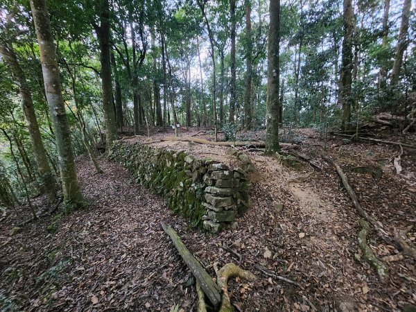 20260118騰龍山加里山O型2997499