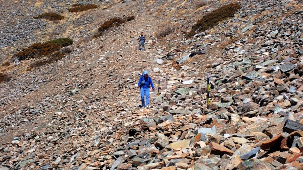 雪山西峰/博可爾山/翠池三叉山與五翠池悠閒走探的山遊記(三日)2838491