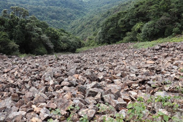HK - 馬鞍山 (三角石河)1270470