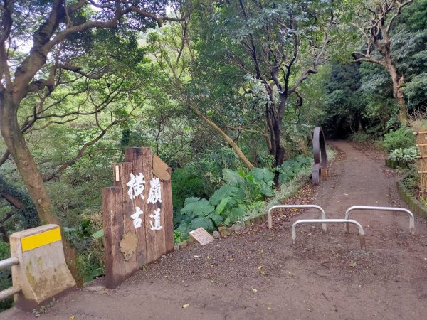 橫嶺古道 湖山國小步道1194200