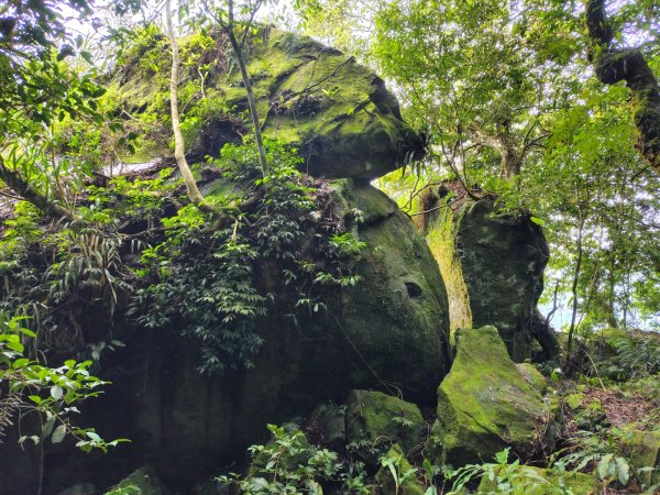 矢場谷山連走勃子山2805053