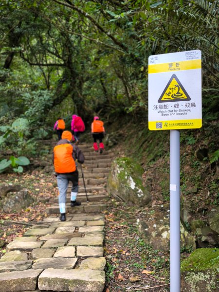 2025-01-19 大里天公廟~埡口2695375