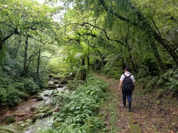 平溪區善覺寺步道+畝畝山北稜線+畝畝山+石硿子瀑布+灰窯瀑布O型2940005