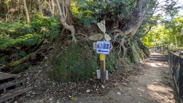 114.08.16和美山之微笑山線2864982