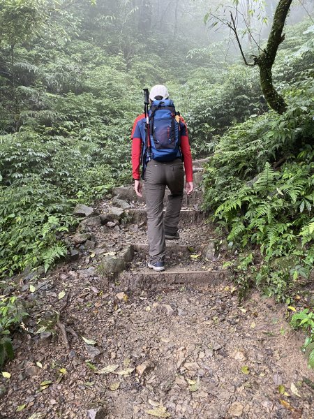 步道巡訪員 l 聖母登山步道109八月份巡訪1085574