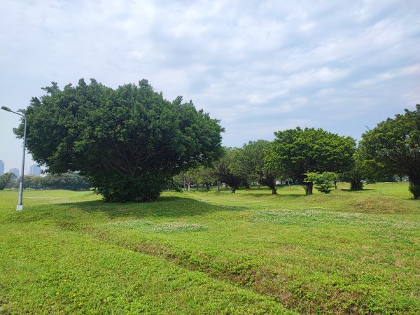 2024年臺北大縱走第八段：捷運動物園站至捷運關渡站2471077