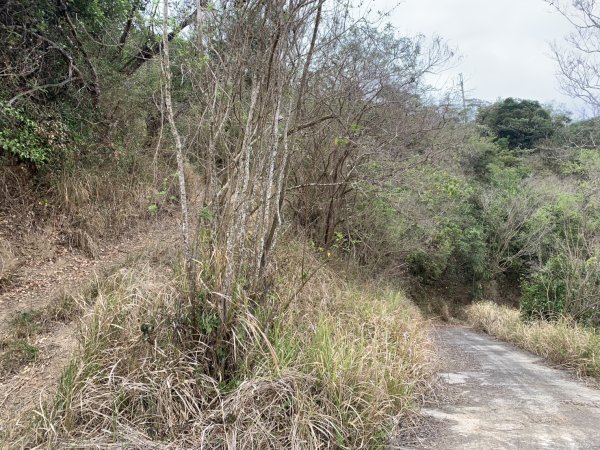 20250405屏東內南世山-西霧里乙山2757788