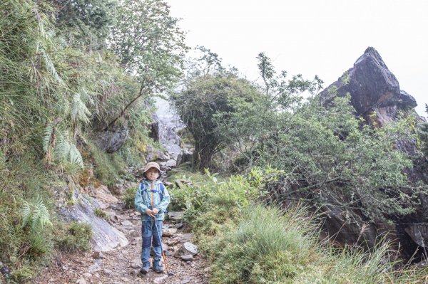 玉山前峰-翻越石瀑的第五座百岳之旅。2254863