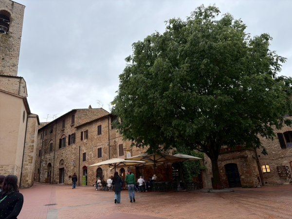 Via Francigena D1: San Gimignano-Colle di Val d’El3072648