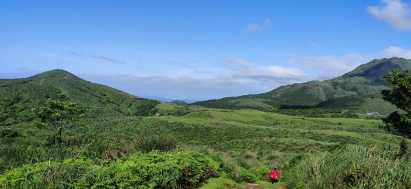 20230527 風櫃嘴-魚路古道-金山2252684