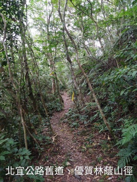 四堵溪畔古道-苗圖步道-四堵古道後段P行1795914