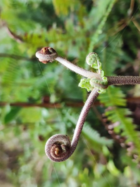 淡蘭南路2+1逆走2671859