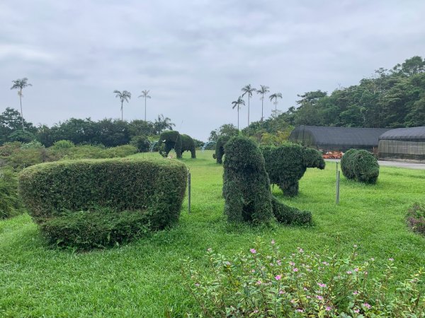 20231016宜蘭仁山植物園2322204