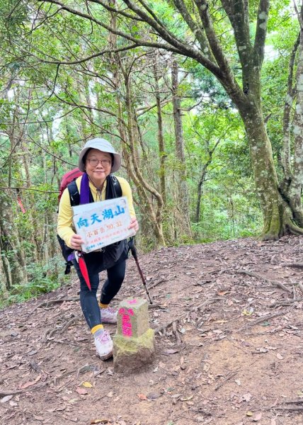光天高山 - 向天湖山(小百岳32) 小O一圈2876731