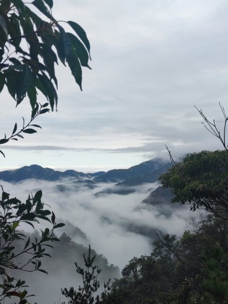 谷關老八阿冷山2699800