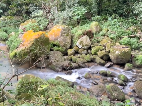 高遶溪古道/羅馬公路2844102