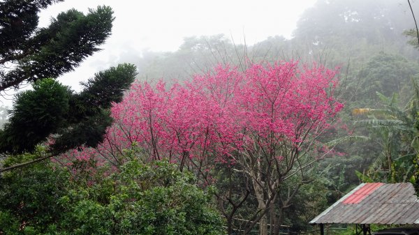 十八彎古道2026576