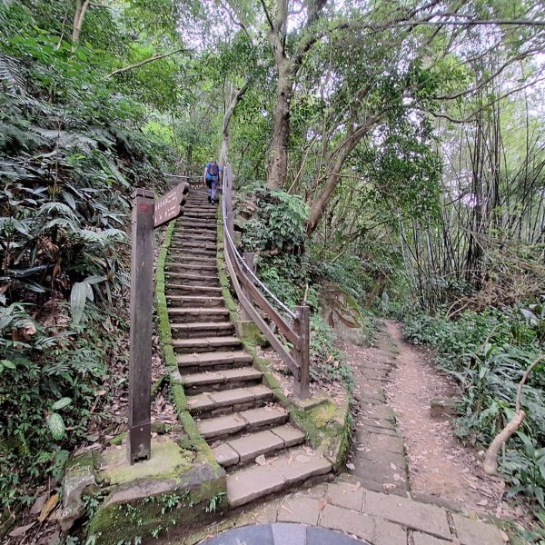 【貓貓自創路線】四獸山+南港山+九五峰+永春坡公園完成!2705811