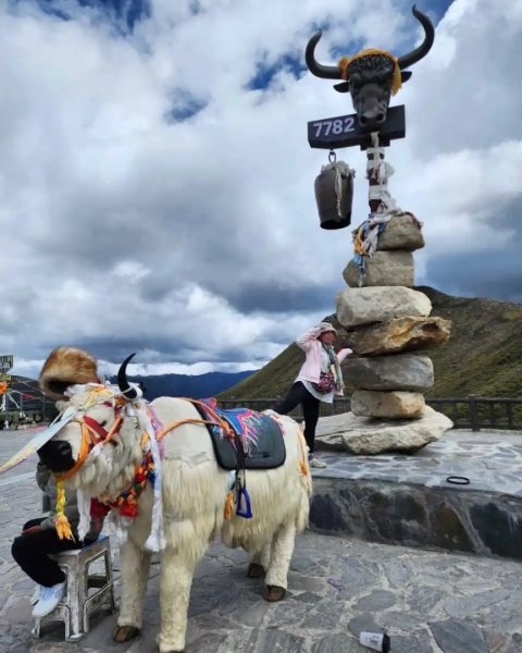 西藏♥️可愛動物🐎人物寫真/拉薩旅拍/美食2902996