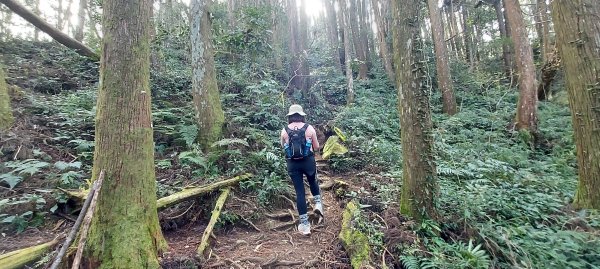 20250218 金柑樹山+忘憂森林2719533