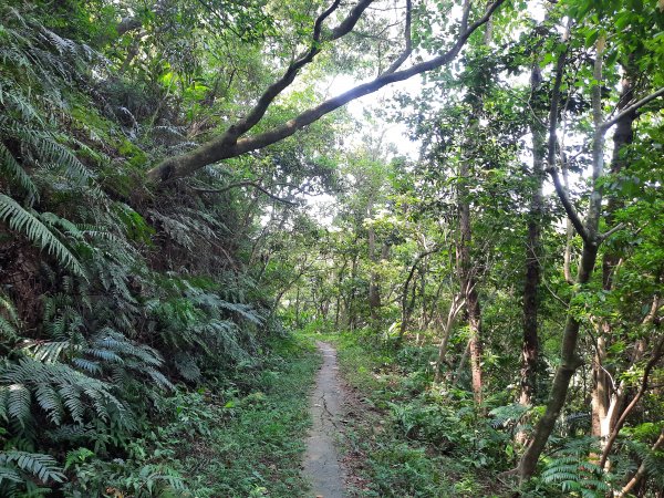 圓通寺烘爐地登山步道1425379