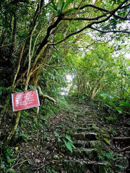 枋山坑古道(淡蘭中路)-新北市坪林區2882698