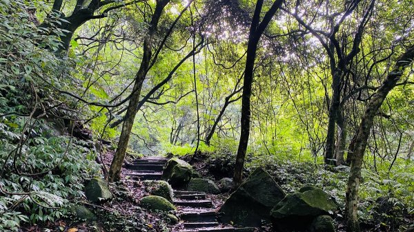 新北石門|老梅溪青山瀑布步道|台版奧入瀨溪|夏日消暑秘境|清涼親子景點1975458