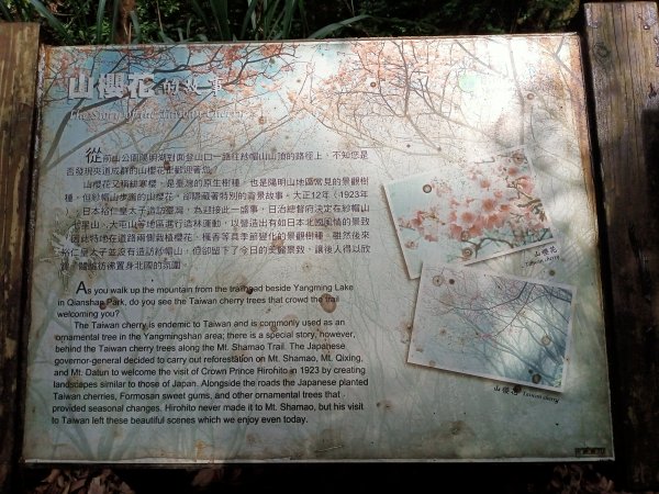 陽明醫院舊址、陽明山前山公園、紗帽山步道、紗帽路、臺北市教師研習中心【走遍陽明山】2121945