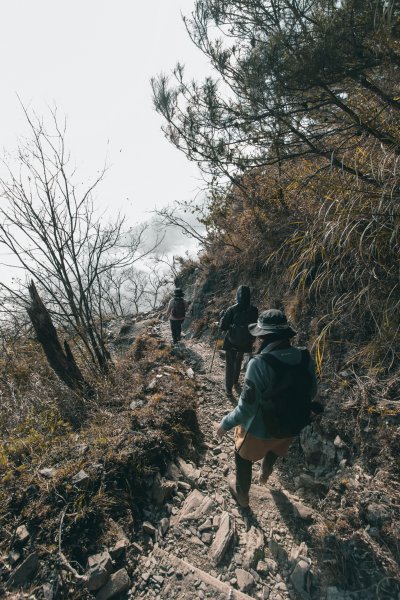 |百岳|玉山前峰1267058